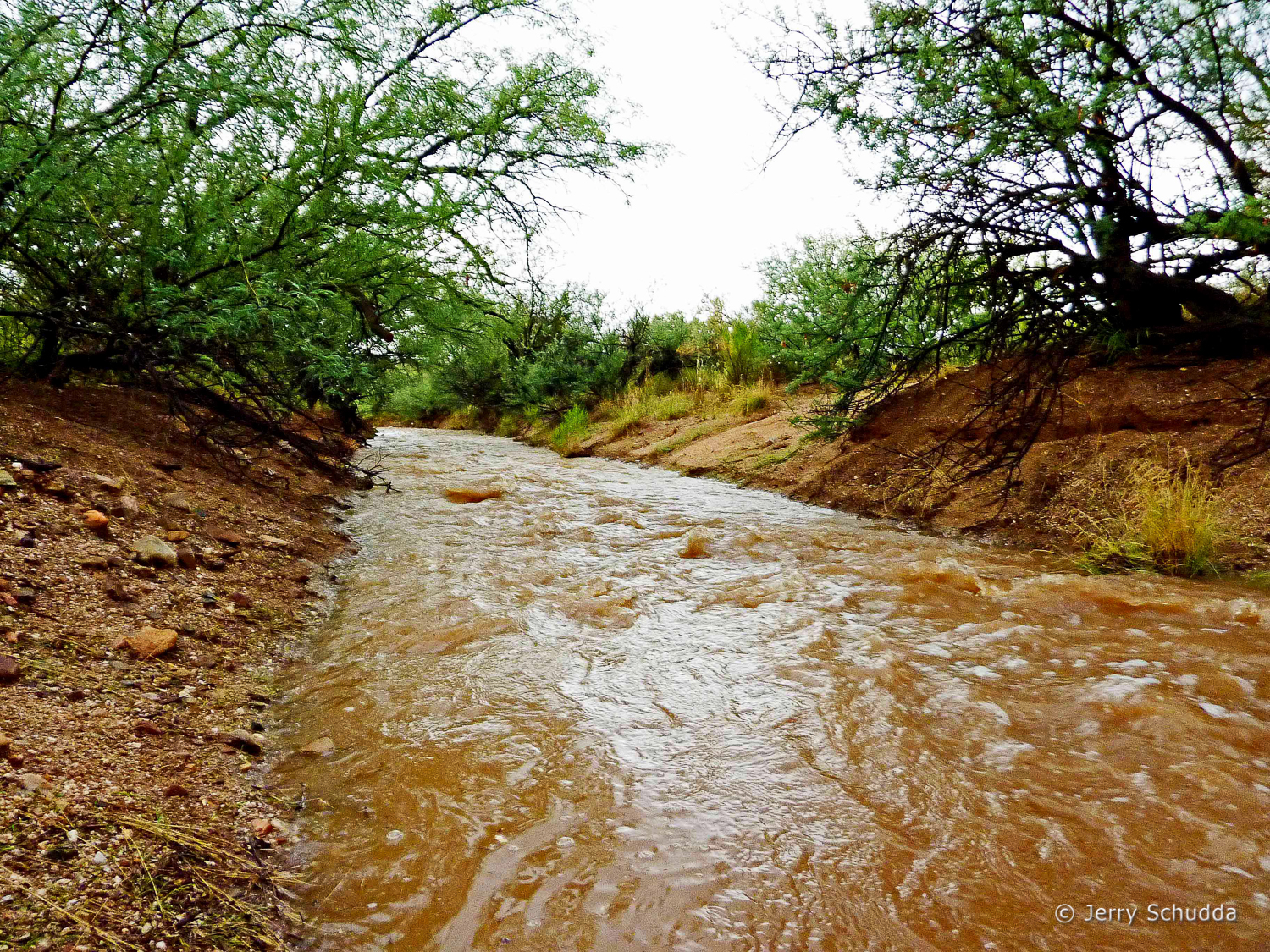 Normally dry stream bed after an Arizona Monsoon     