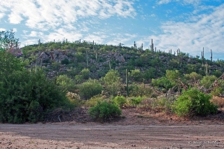 Iron Mine Hill Sonoran Desert - Southern Arizona near Tucson 1