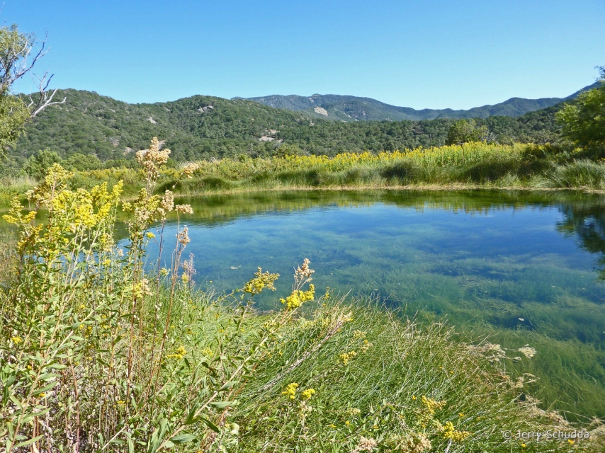 Pond in Huachuca Mountains - Southeast Arizona 3